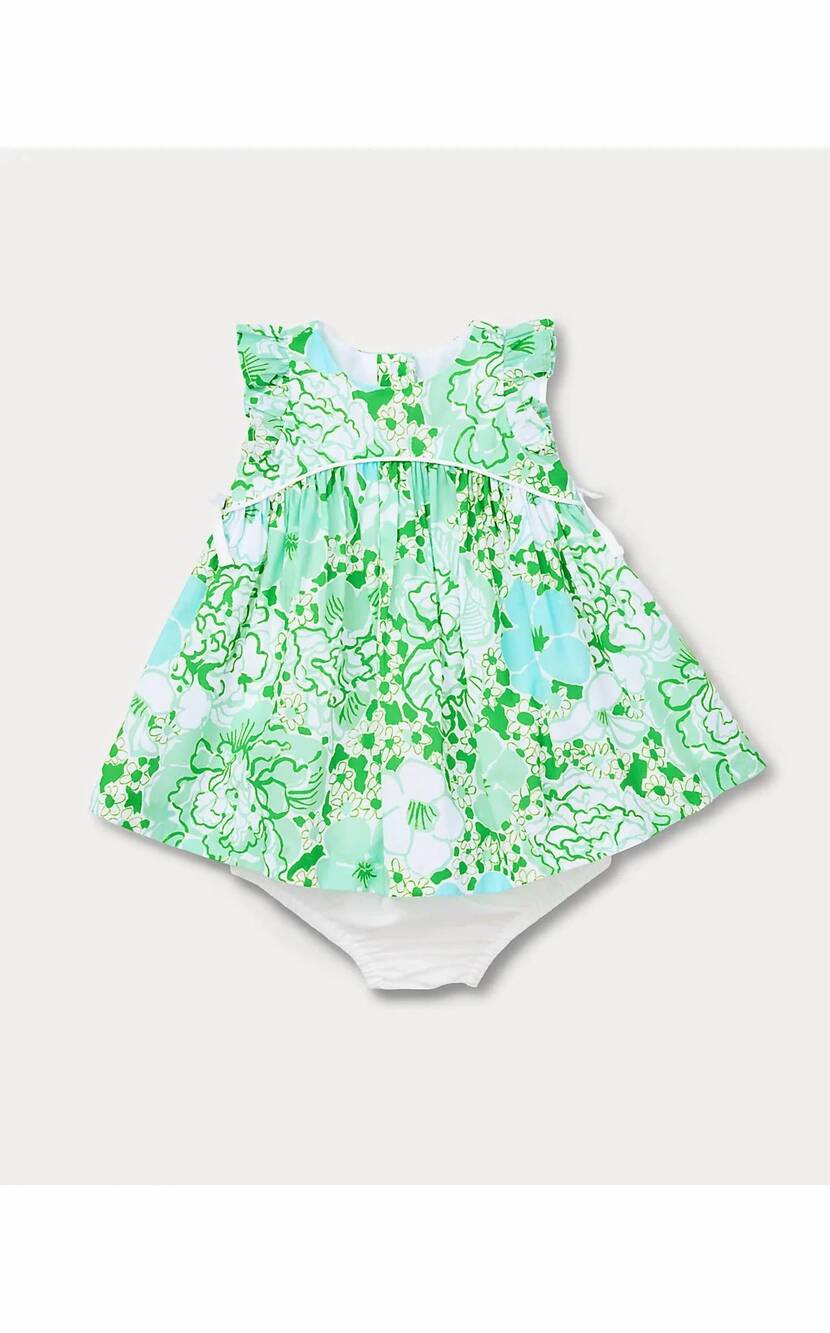 NEW LILLY PULITZER girl's georgina baby dress in mint condition burst of joy